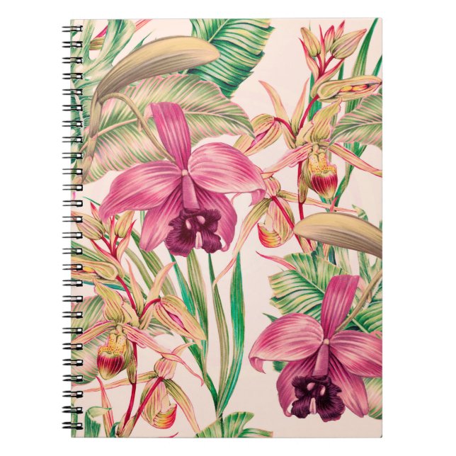 Carnet Fleurs tropicales, fleur d'orchidées, feuilles de  (Devant)