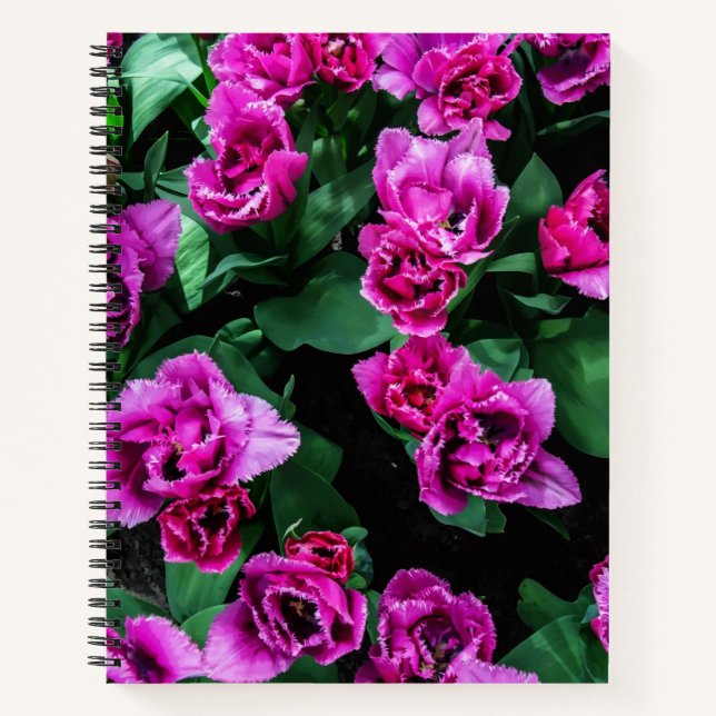 Carnet Fleurs tulipes roses (Devant)