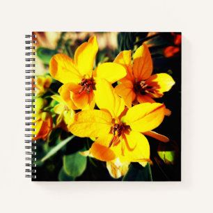 Carnet Fleurs vives