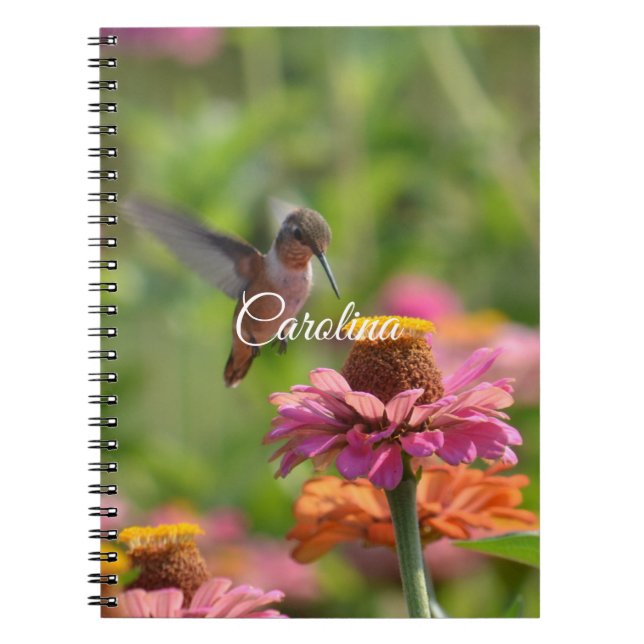 Carnet Fleurs Zinnia de colibri (Devant)