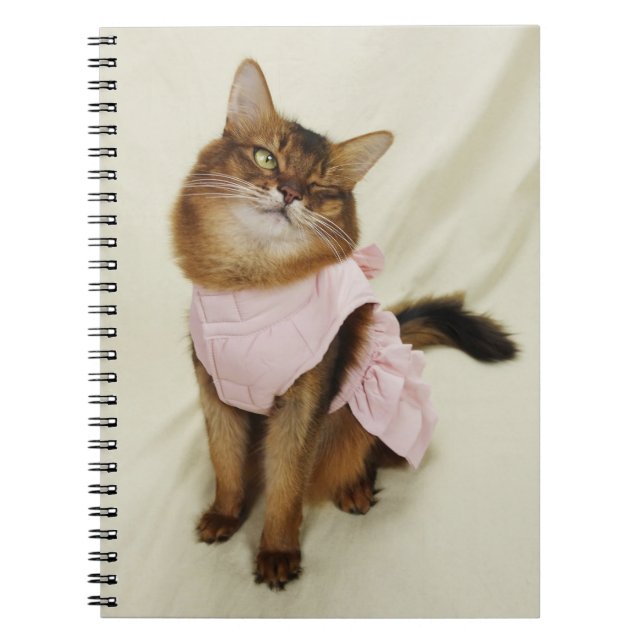 Carnet Flirter un chat somalien Winking Cat (Devant)