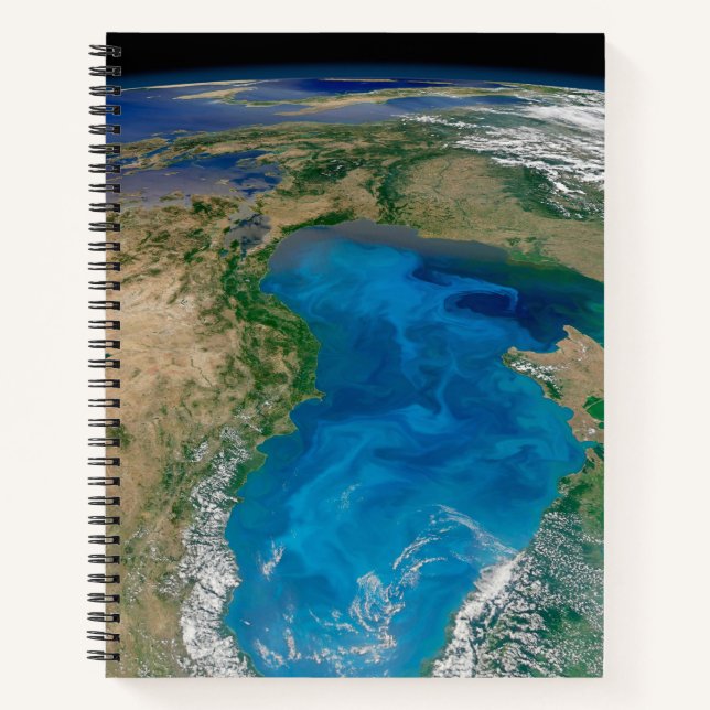 Carnet Floraison De Phytoplancton Bleu En Mer Noire (Devant)