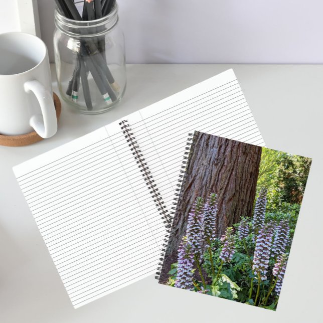 Carnet floral Acanthe/Pattes d'Ours (In Situ)