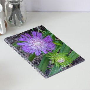 Carnet Floral d'aster de Purple Stoke