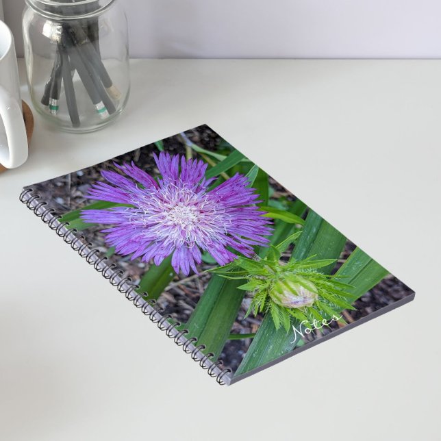 Carnet Floral d'aster de Purple Stoke (In Situ)