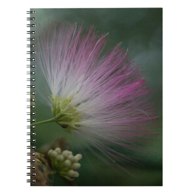 Carnet floral de fleur sauvage de rose d'arbre de (Devant)