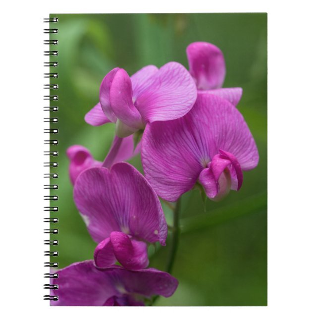 Carnet floral de fleurs sauvages de rose de pois (Devant)