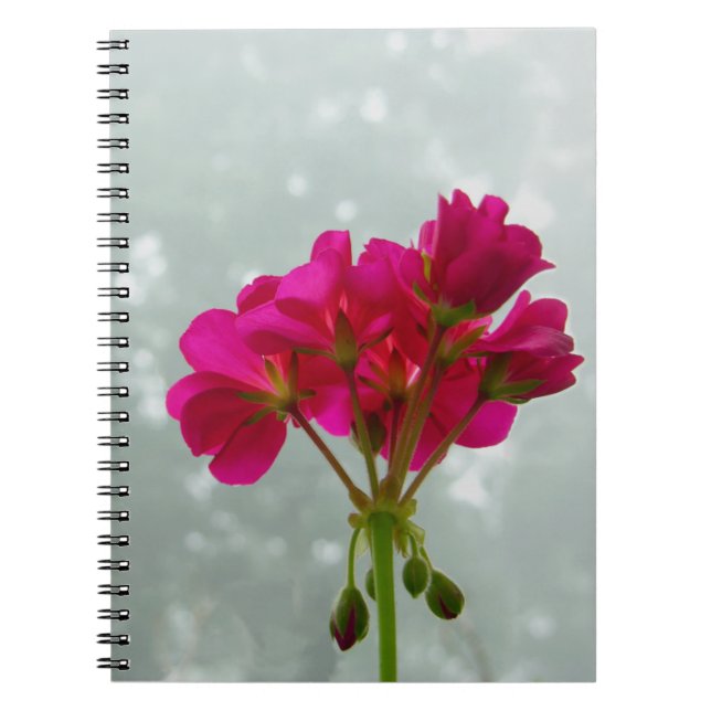 Carnet floral de Geranium rose (Devant)