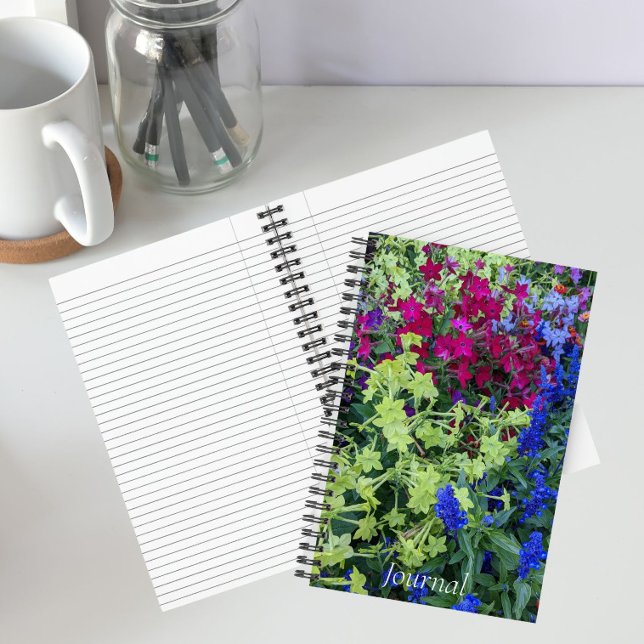 Carnet Floral de Jardin Estival Coloré (In Situ)