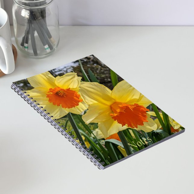 Carnet floral de jonquilles jaunes et oranges (In Situ)