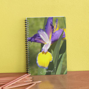 Carnet Floral d'Iris de Sibérie pourpre et jaune