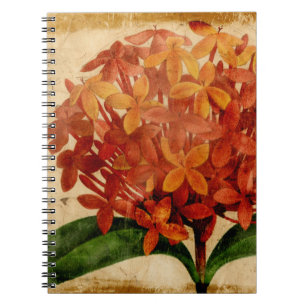 Carnet Floral III