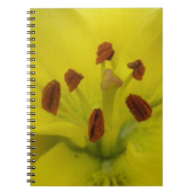 Carnet Floral Lily jaune (Devant)