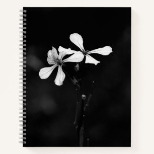 Carnet floral noir et blanc minimal