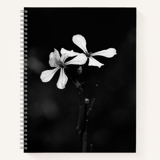 Carnet floral noir et blanc minimal (Devant)