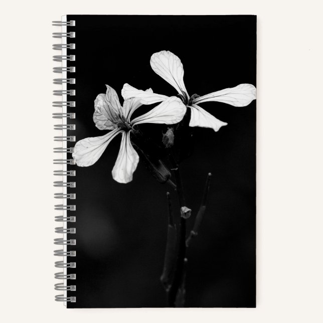 Carnet floral noir et blanc minimal (Recto)