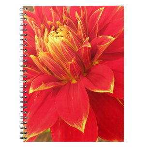 Carnet Floral photographique