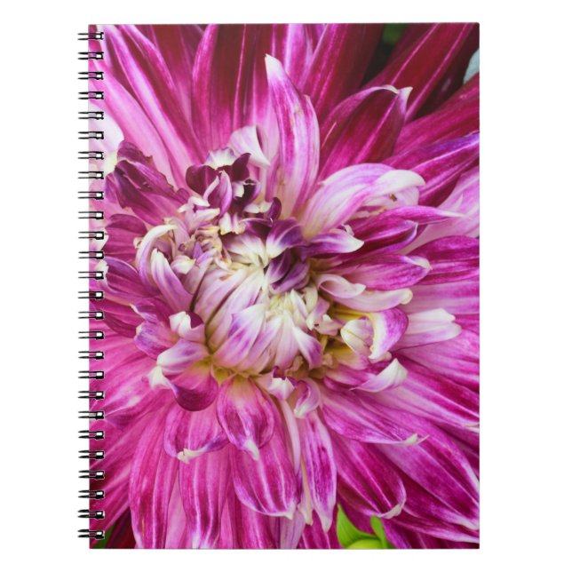 Carnet Floral pourpre (Devant)