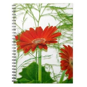 Carnet Floral rouge