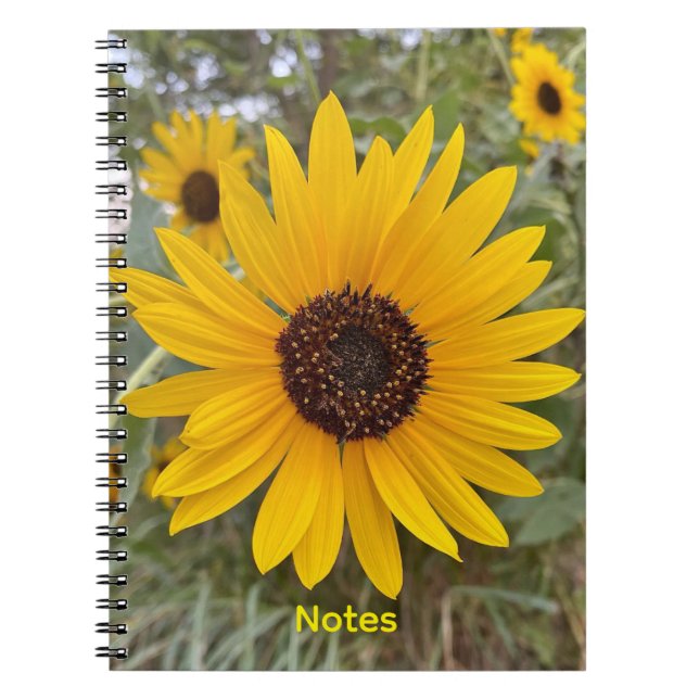 Carnet floral Tournesol Doré (Devant)