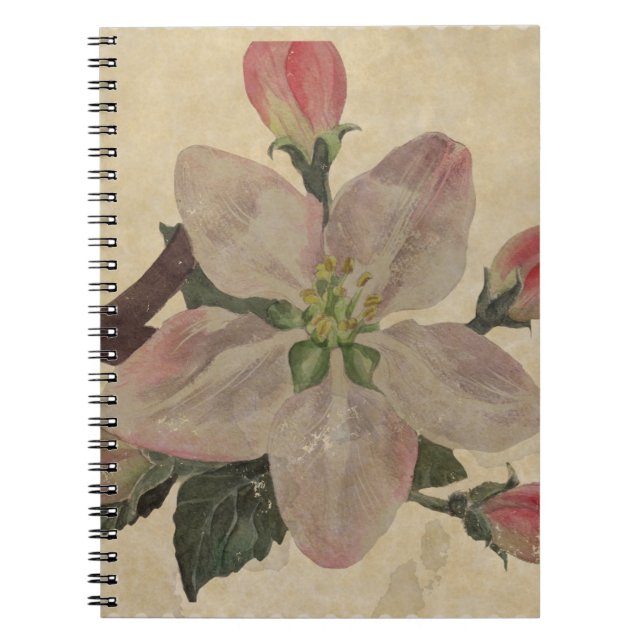 Carnet Floral : Vintage (Devant)