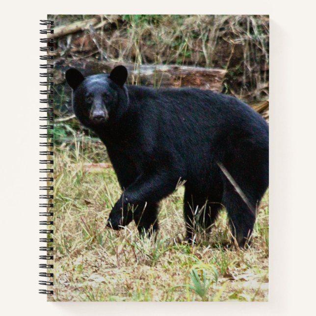 Carnet Florida Black Bear (Devant)
