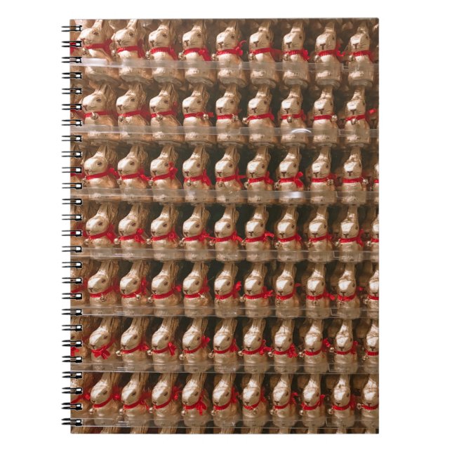 Carnet Flot de figurine de lapin (Devant)