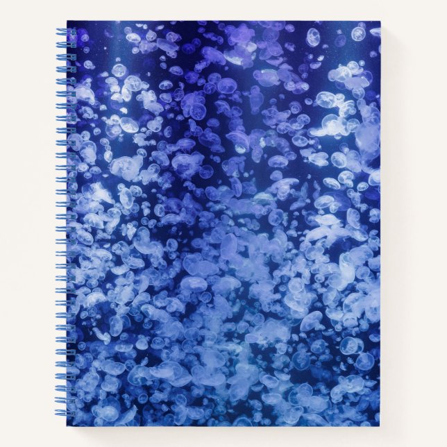 Carnet Flow – Jellyfish Notebook for Calm Thinking (Devant)