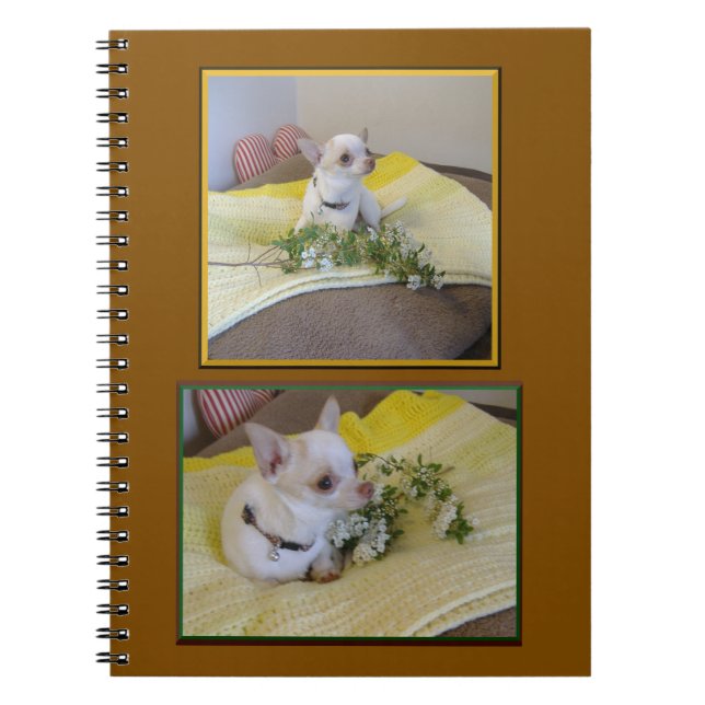 Carnet Flower Chihuahua Spiral  Notebook (Devant)