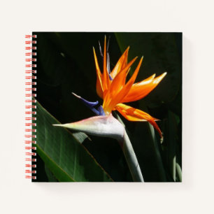 Carnet Flower tropical orange paradise