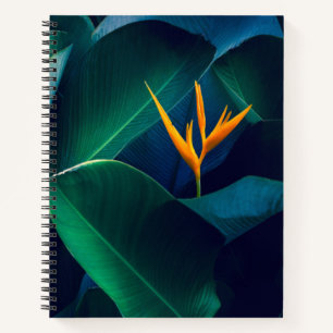 Carnet Flowers   Bird of Paradise