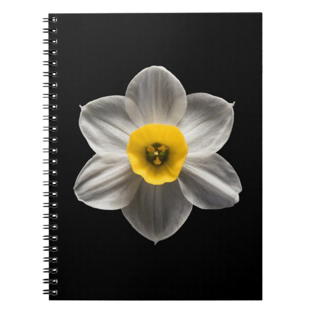 Carnet Flowers (homonymie) Flower blanc (Devant)