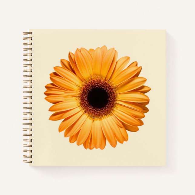 Carnet Flowers | Orange Gerbera (Devant)