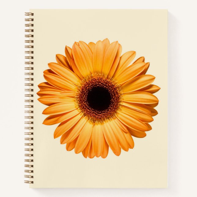 Carnet Flowers | Orange Gerbera (Devant)