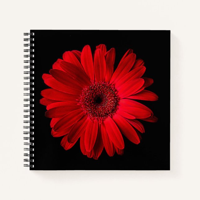 Carnet Flowers | Red Gerbera Daisy (Devant)