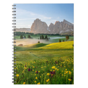 Carnet Flowers Spring Alpe di Siusi Langkofel
