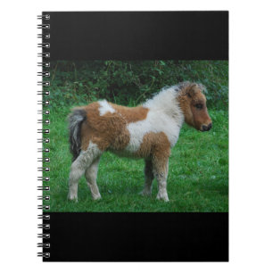 Carnet Fluffy Adorable Dartmoor Pony