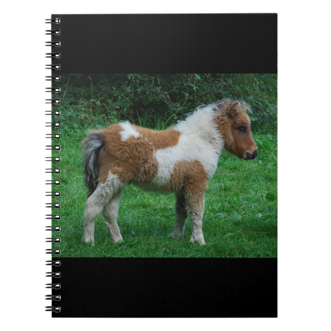 Carnet Fluffy Adorable Dartmoor Pony (Devant)