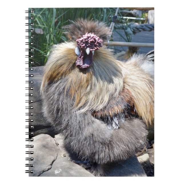 Carnet Fluffy Charm Imperfection : Un Rooster Silky Uniqu (Devant)