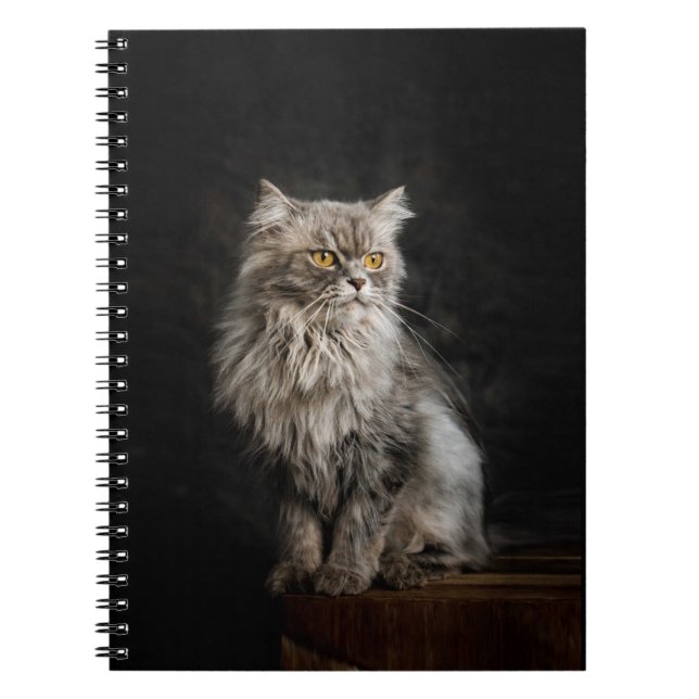 Carnet Fluffy Gris (Devant)