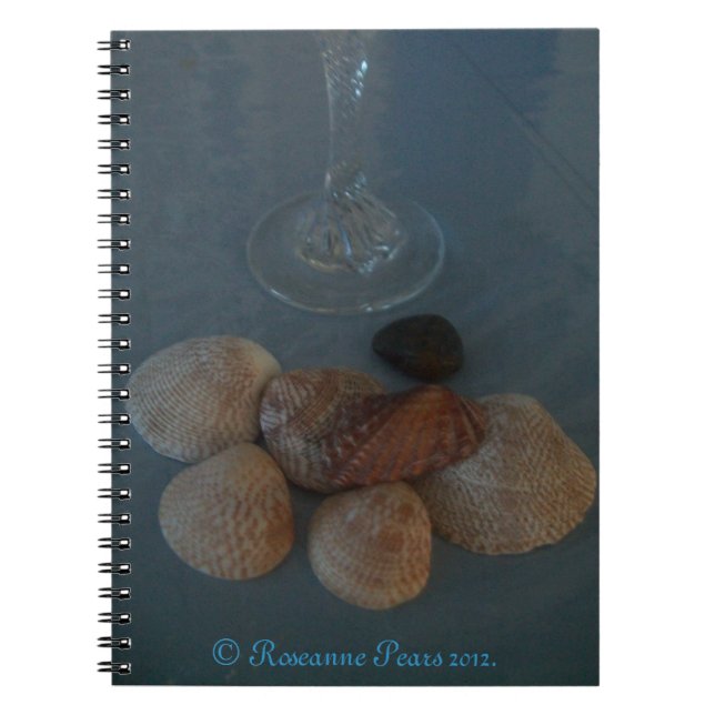 Carnet (Flute&Shells) RFPMDesigns ©️ 2012 (Devant)