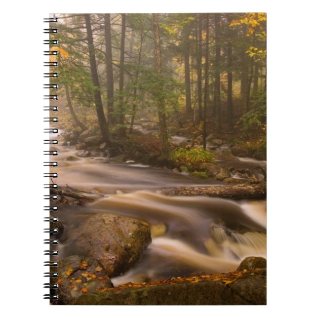Carnet Flux Flux Sentier Appalachien | Vermont (Devant)