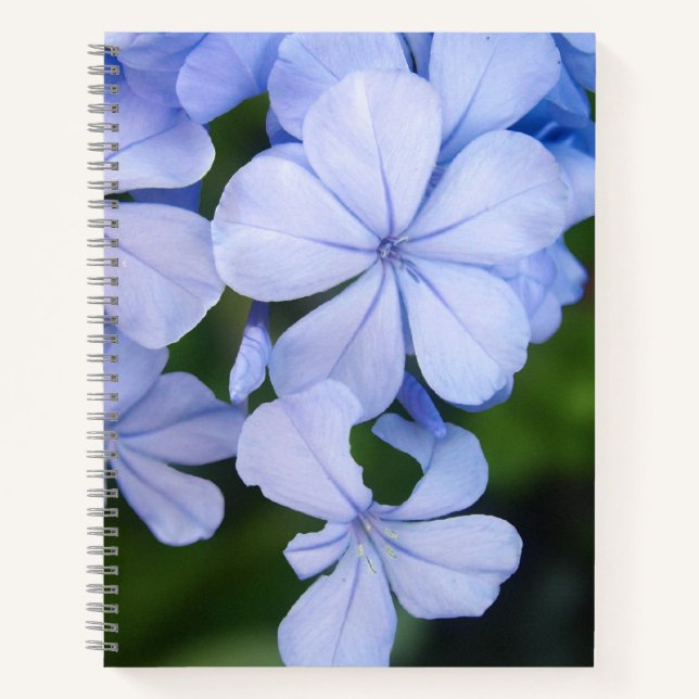 Carnet Fond de botanique rêveuse scintillante (Devant)