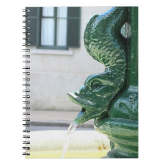 Carnet Fontaine de Sharon Dawn ~