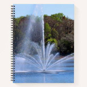 Carnet Fontaine sur un étang