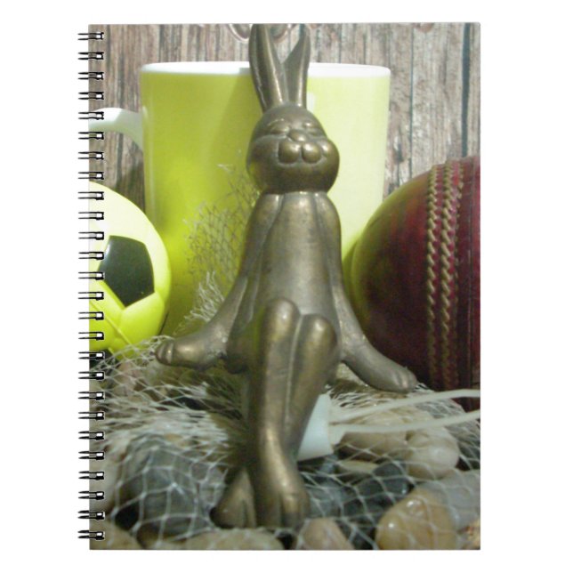 Carnet Football Cricket spectateur sports (Devant)