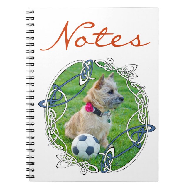 Carnet Football pour Cairn Terrier (Devant)