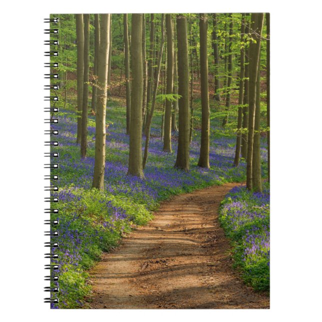 Carnet Forest | Bluebell Forest en Belgique (Devant)