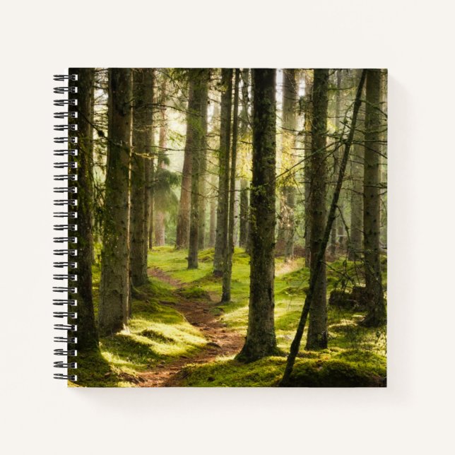 Carnet Forest | Boreal Forest Sweden (Devant)