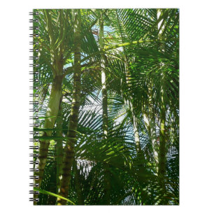 Carnet Forest of Palm Trees Tropical Nature